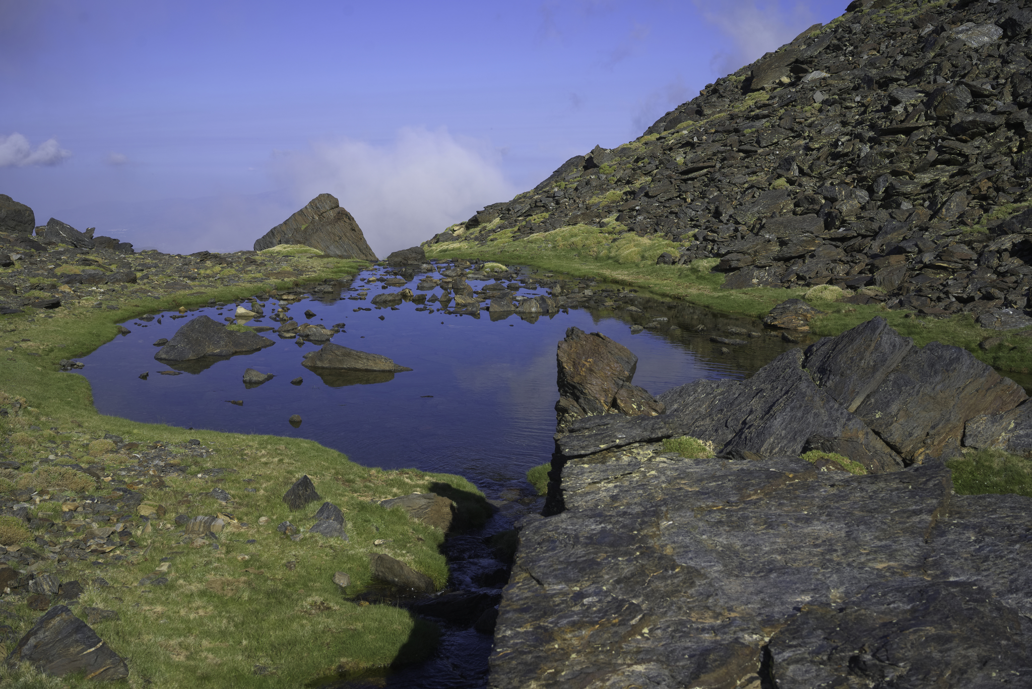 The Laguna de los Dos Dickys