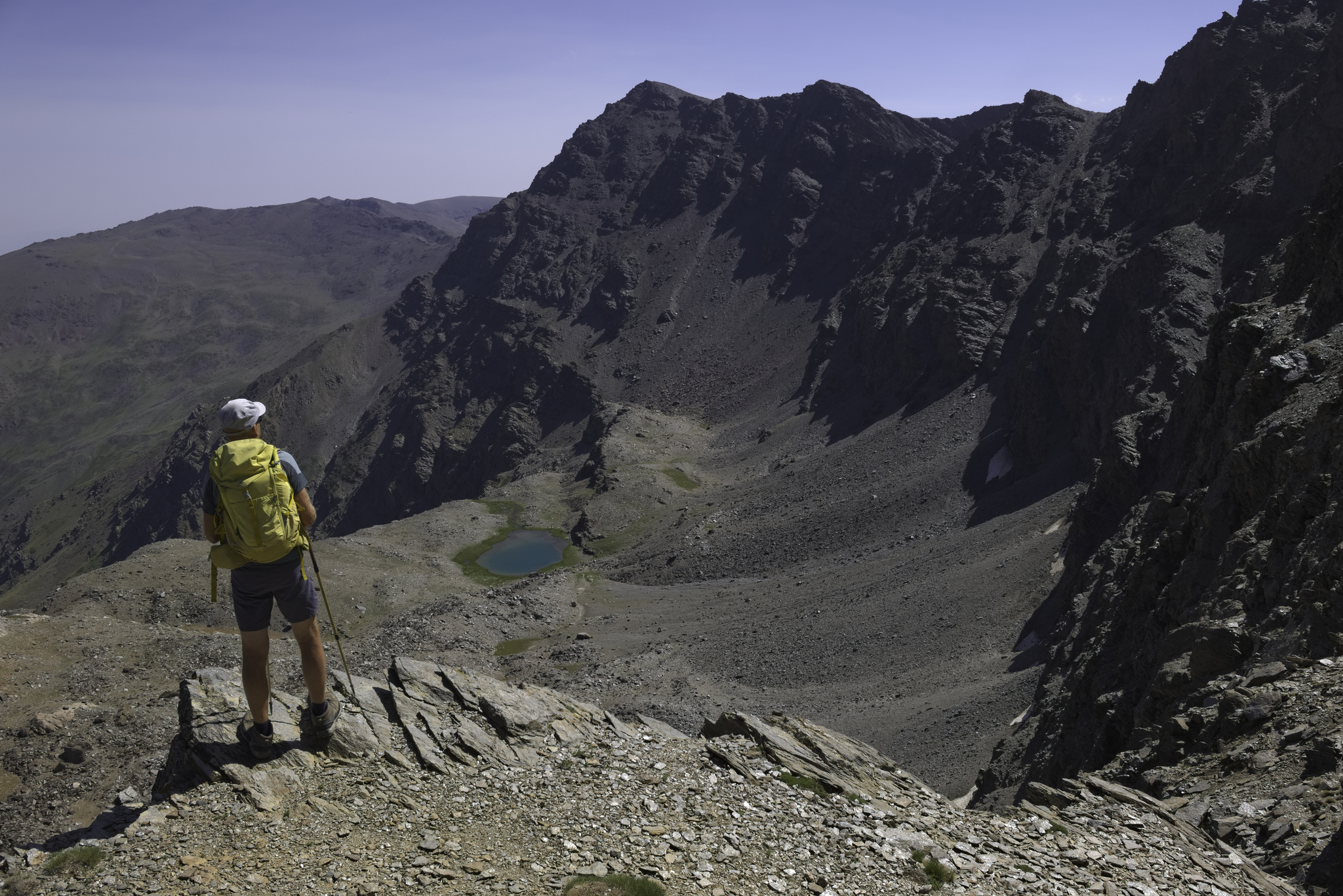 Endemic wild flowers living on the west face of Mulhacen