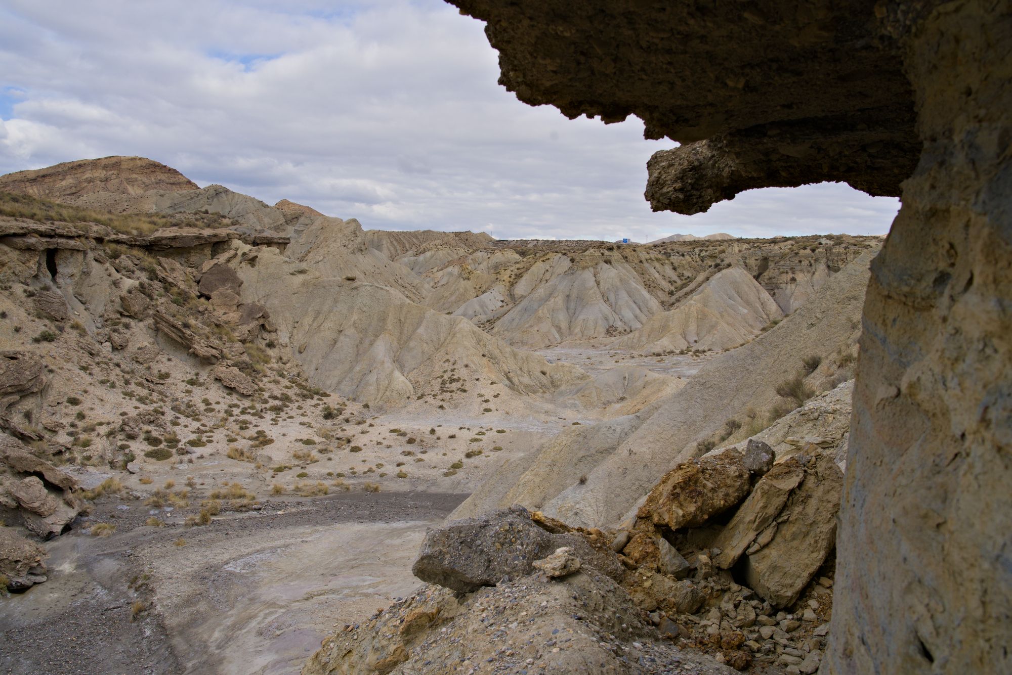 Blondie, Tuco, Indiana and the Demented Desert Dragon Tails