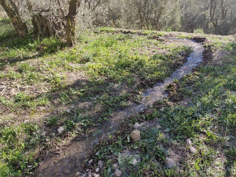 Water, Water, Everywhere in the Alpujarras