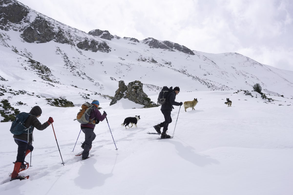 The slopes above the refuge