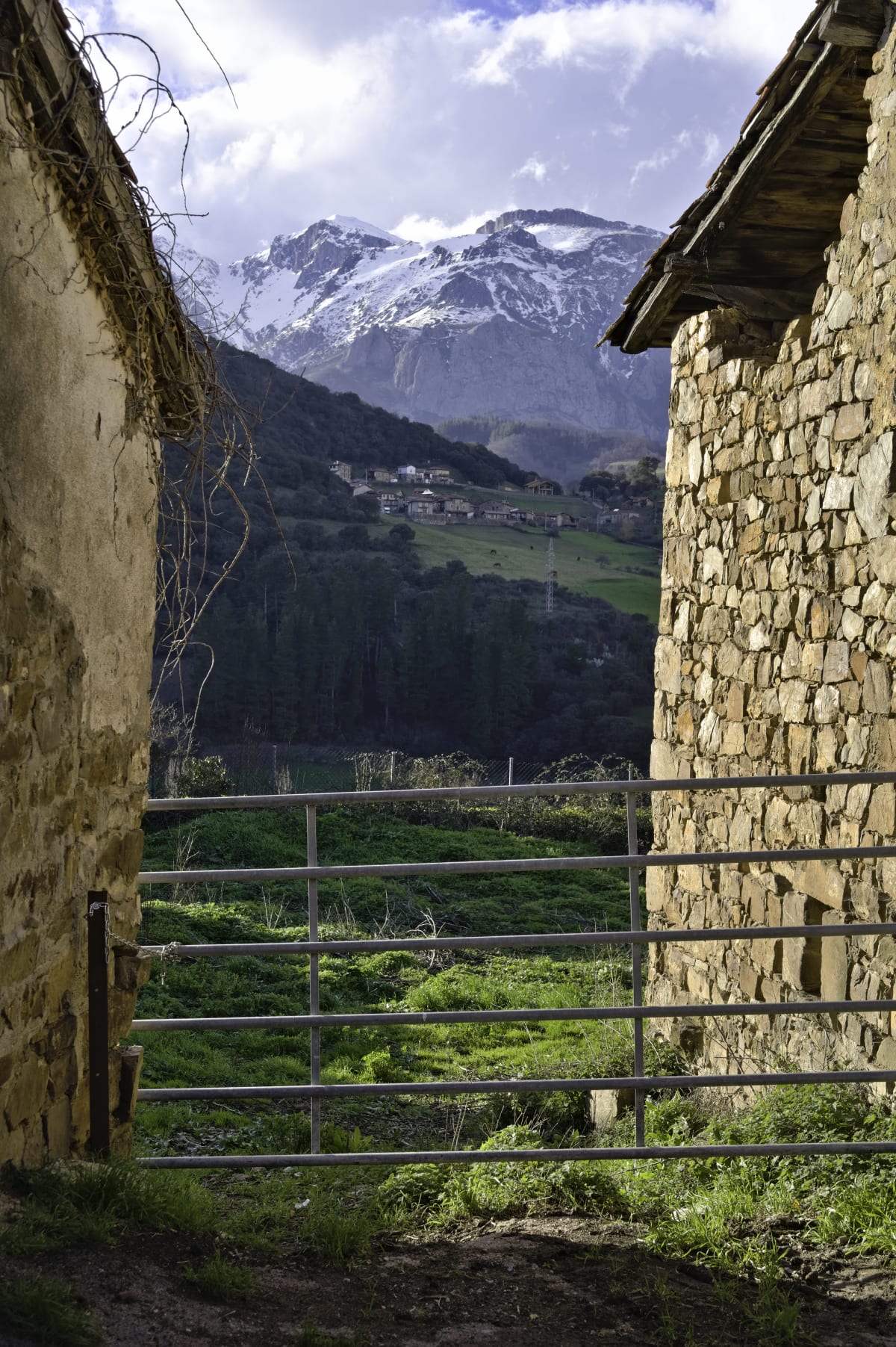 View towards the Picos from the farmhouse