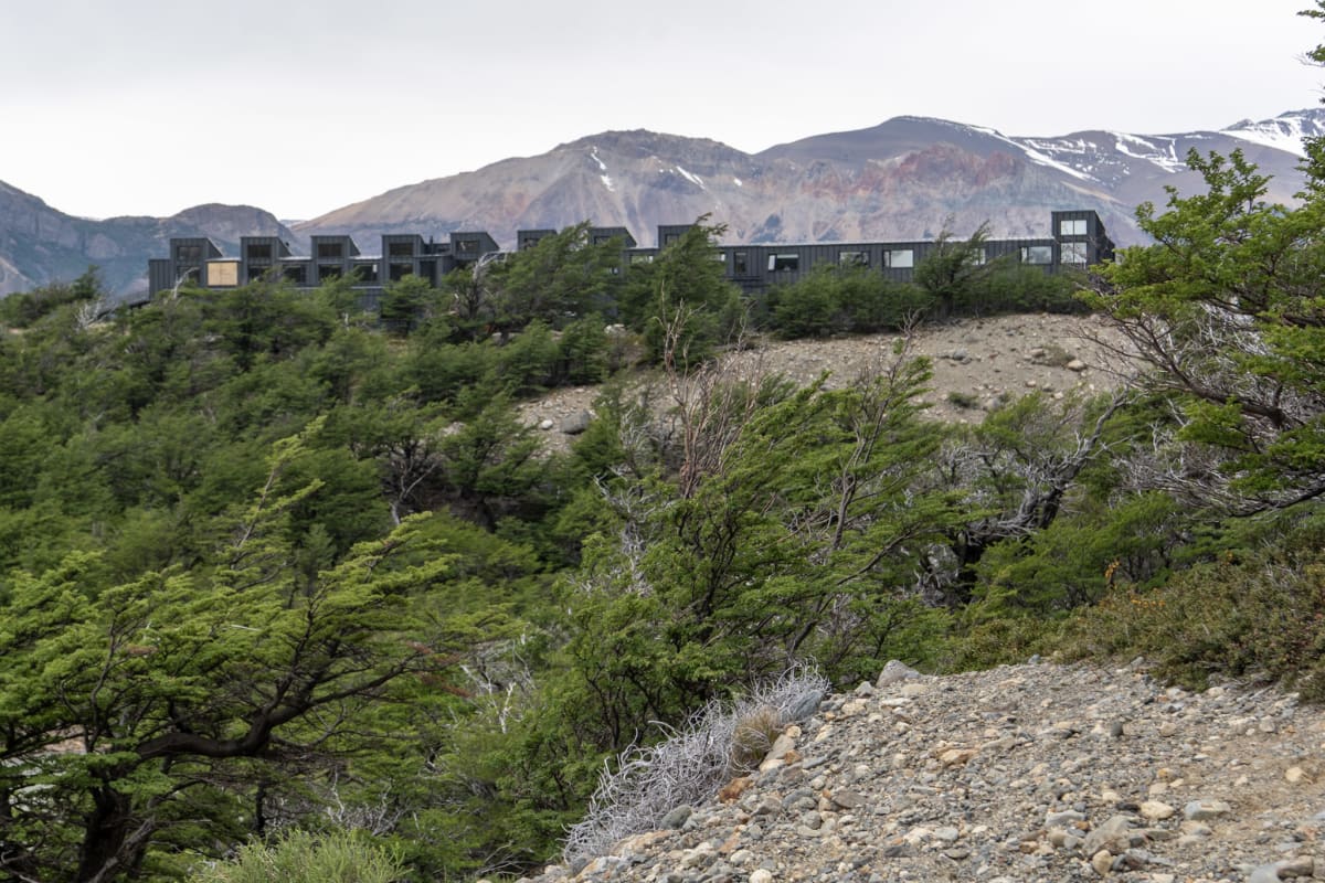The roof of the black Explora hotel peeping out over the forest