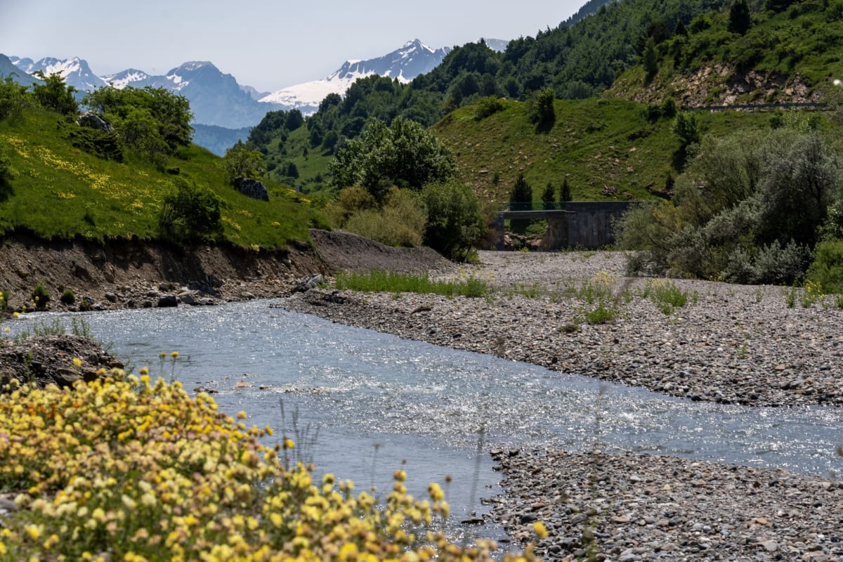 Riverside flowers and distant mountains, Formigal