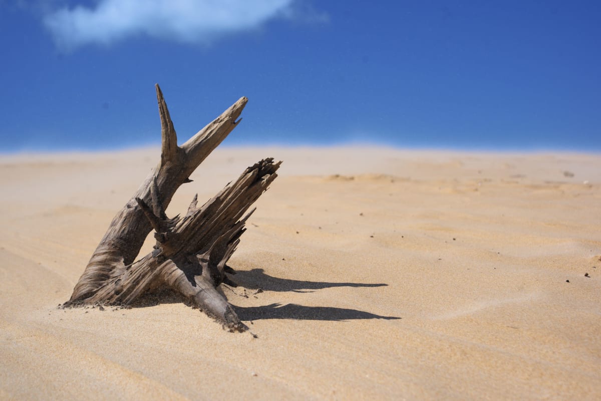 Climbing the Duna de Bolonia