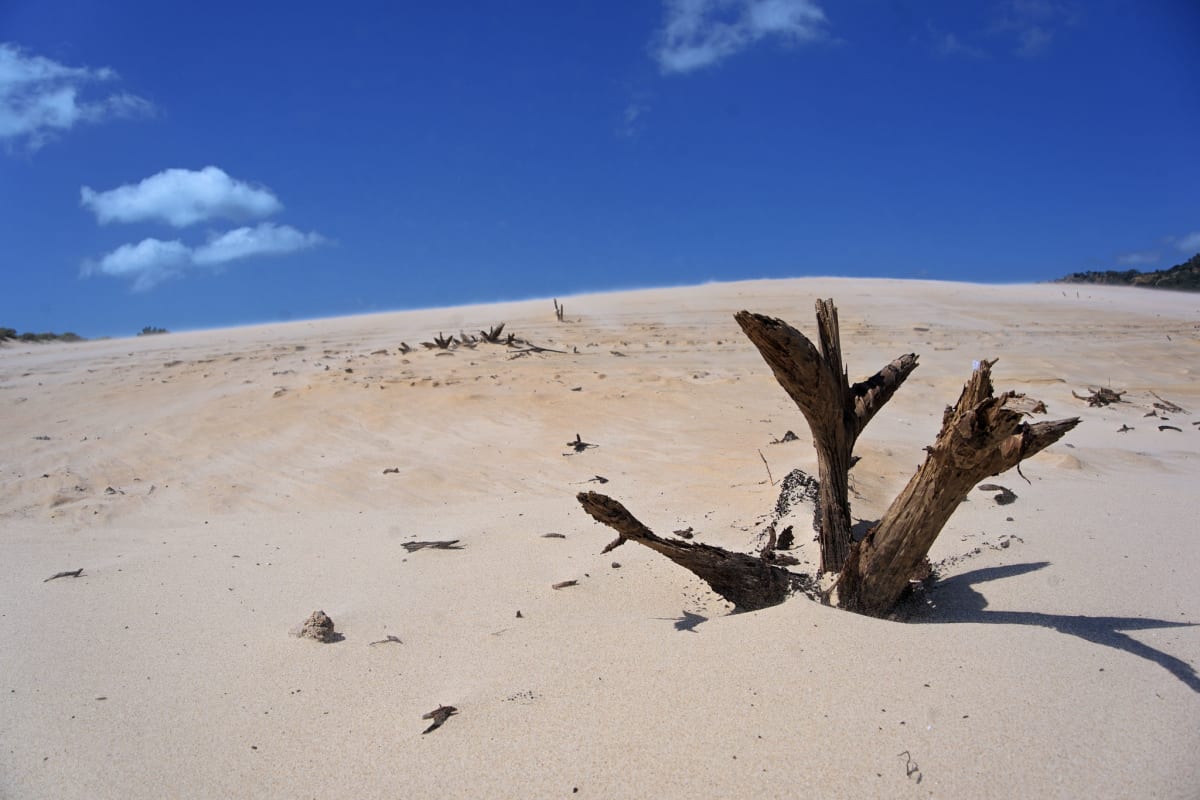 Image from Duna de Bolonia sand dune hike