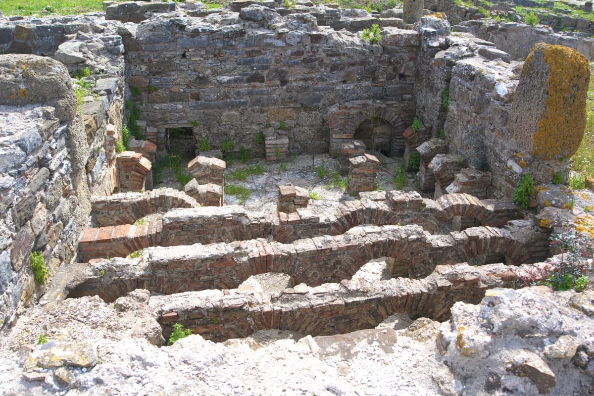 Municipal market area