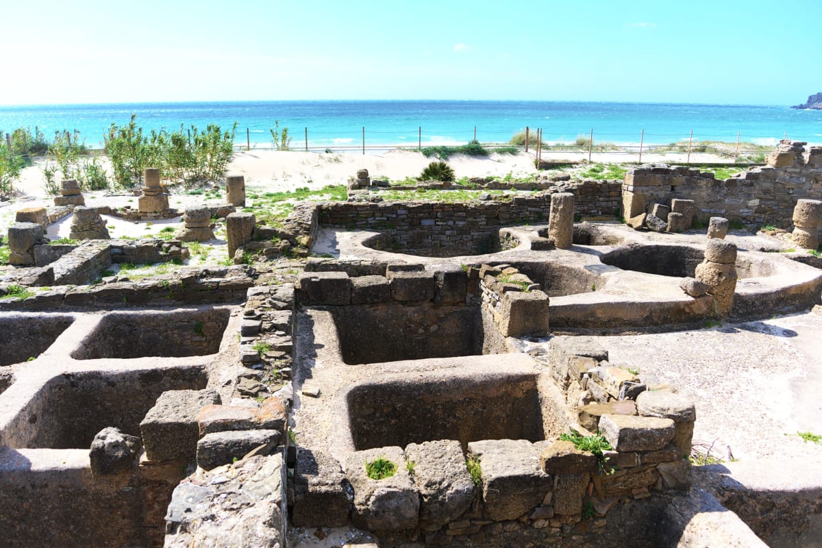 The salt curing factories