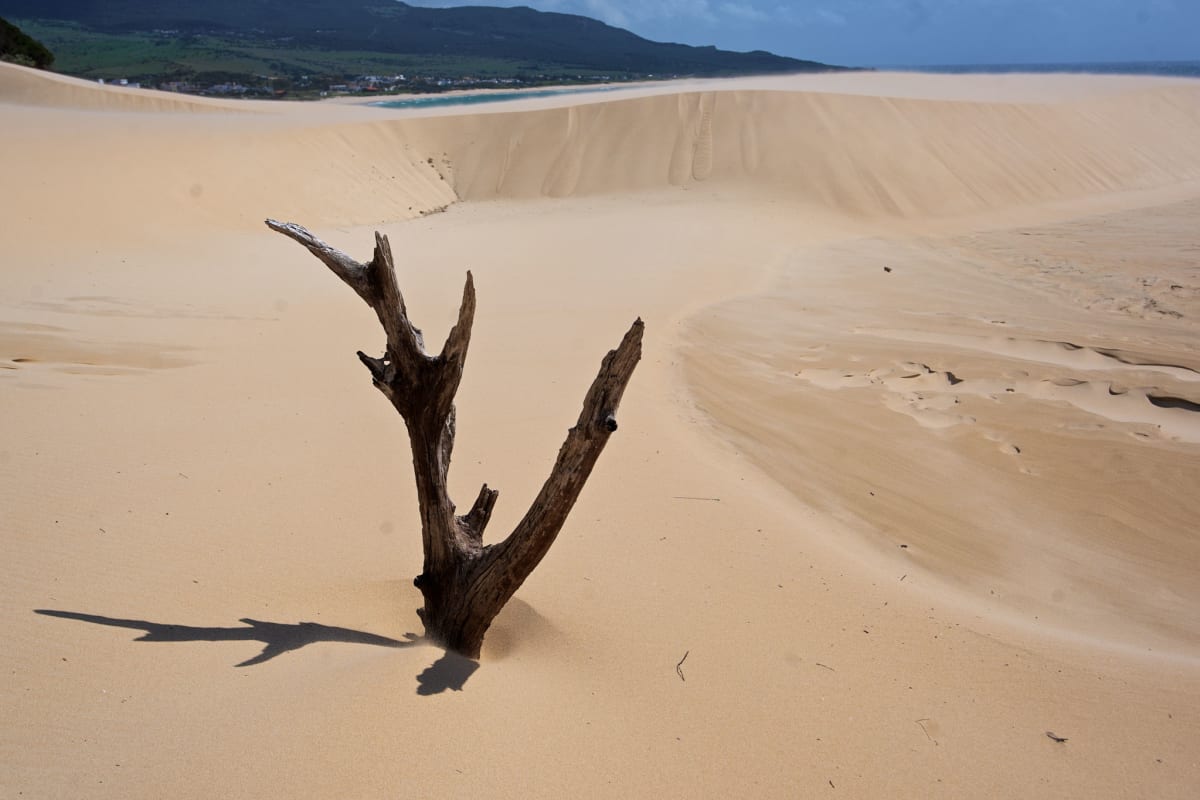 Image from Duna de Bolonia sand dune hike