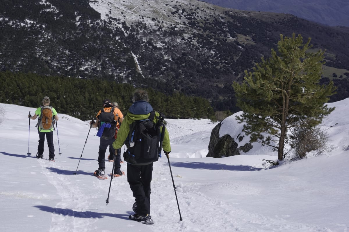 Snowshoeing in the forests of the Alpujarras