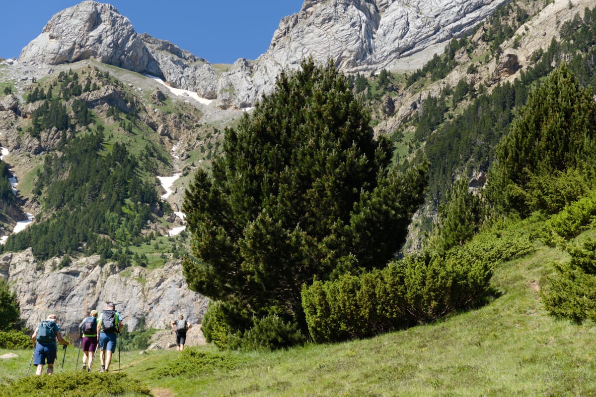 The trail leading up to the Arco Geotectonico