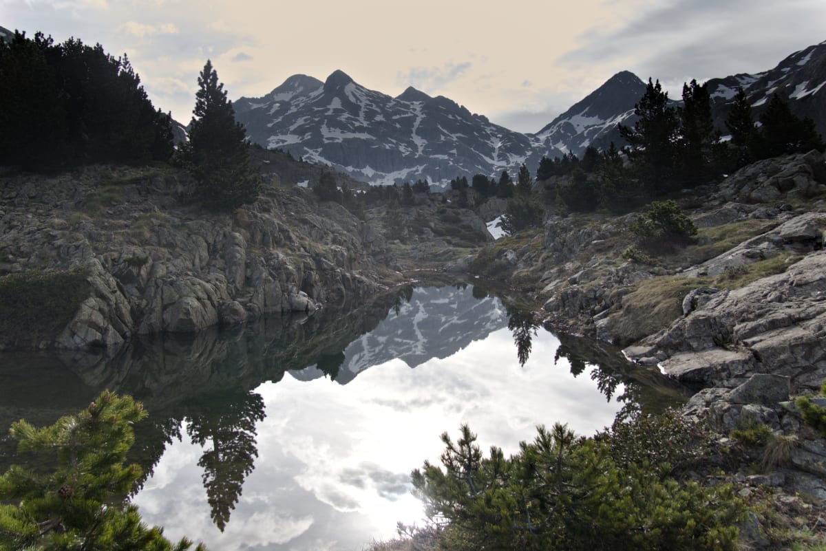 Perfect reflections