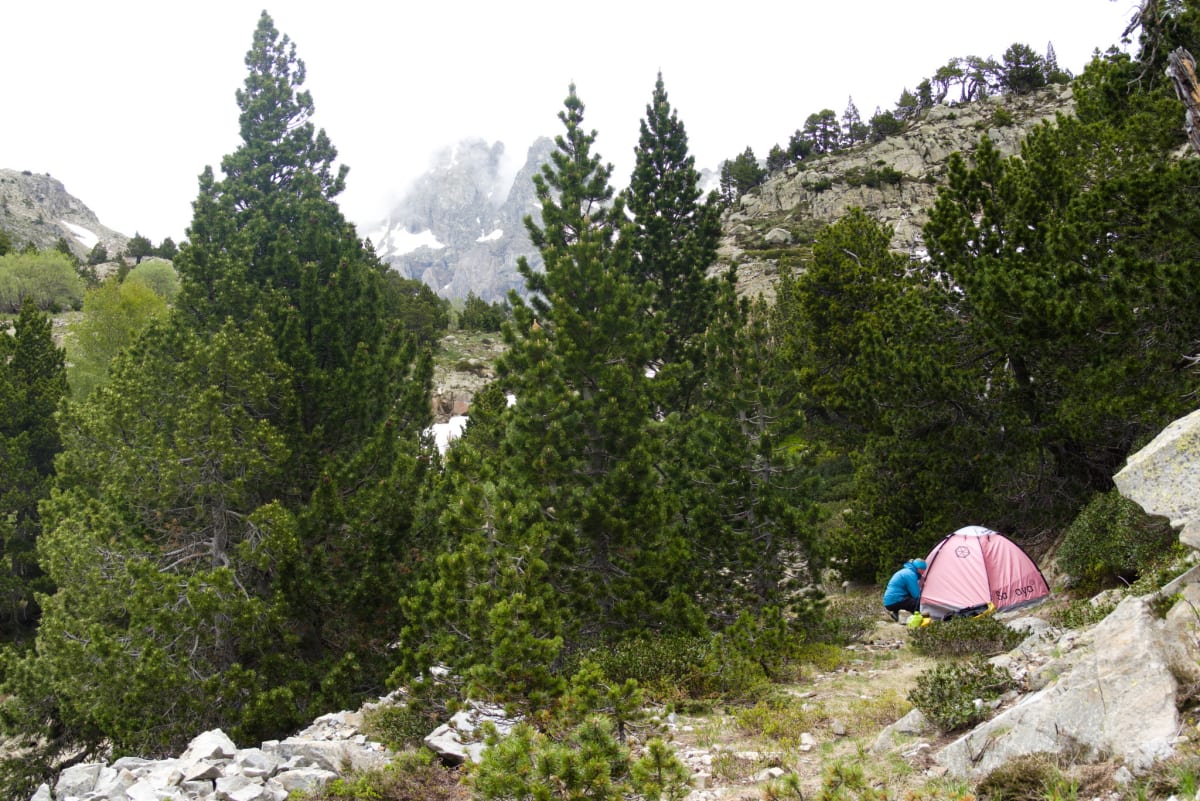 The very well (not) hidden Pink tent!