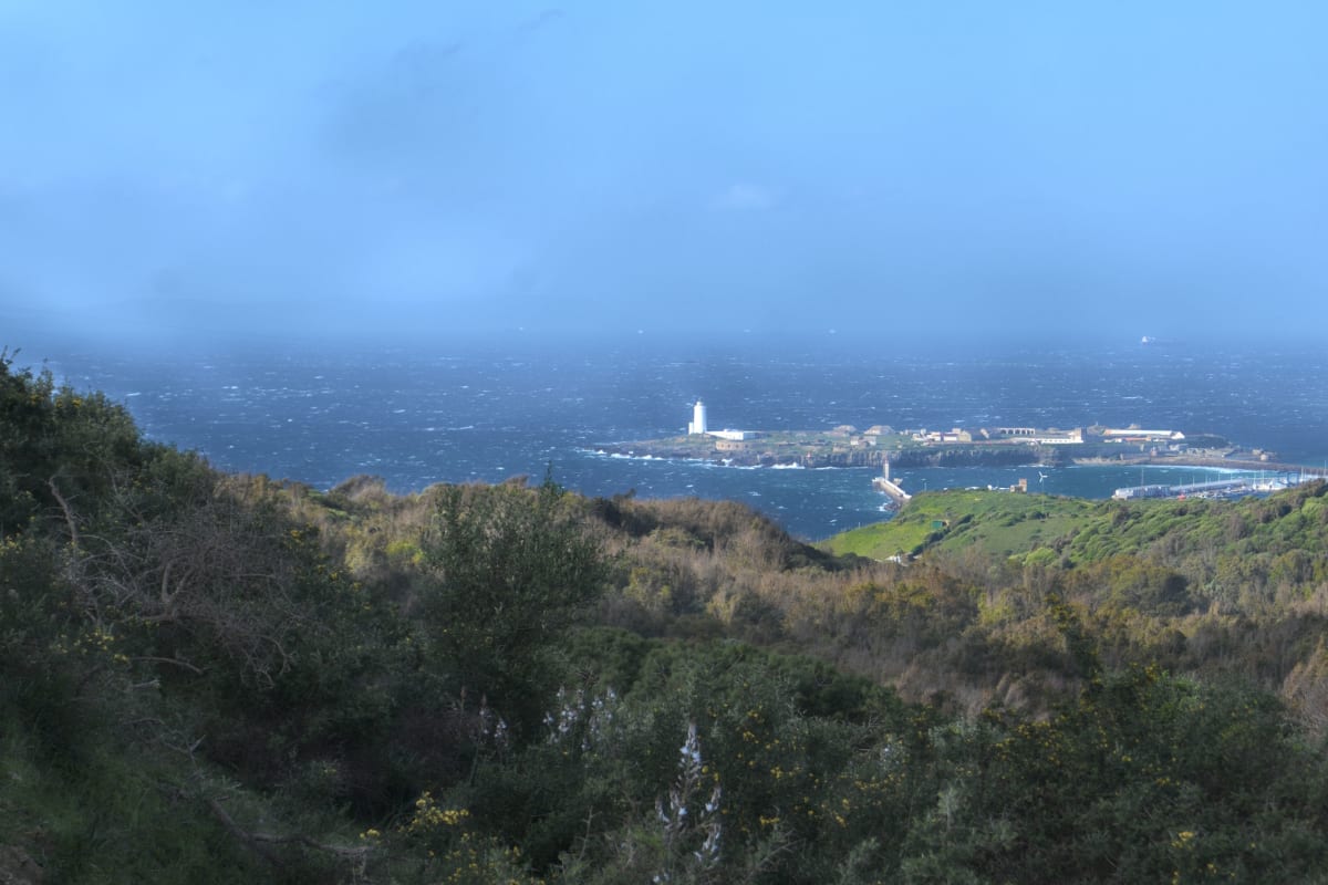 Looking down to Tarifa harbour