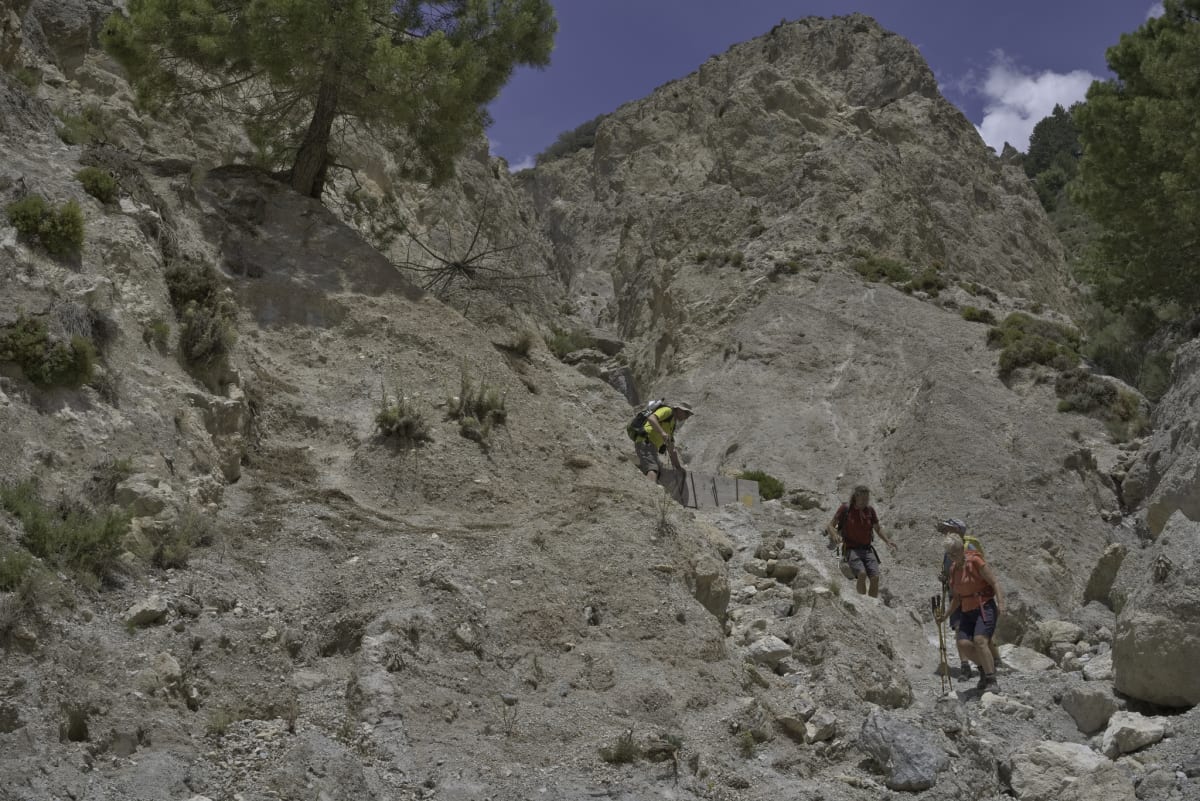 Still going down but dreaming of cold beer