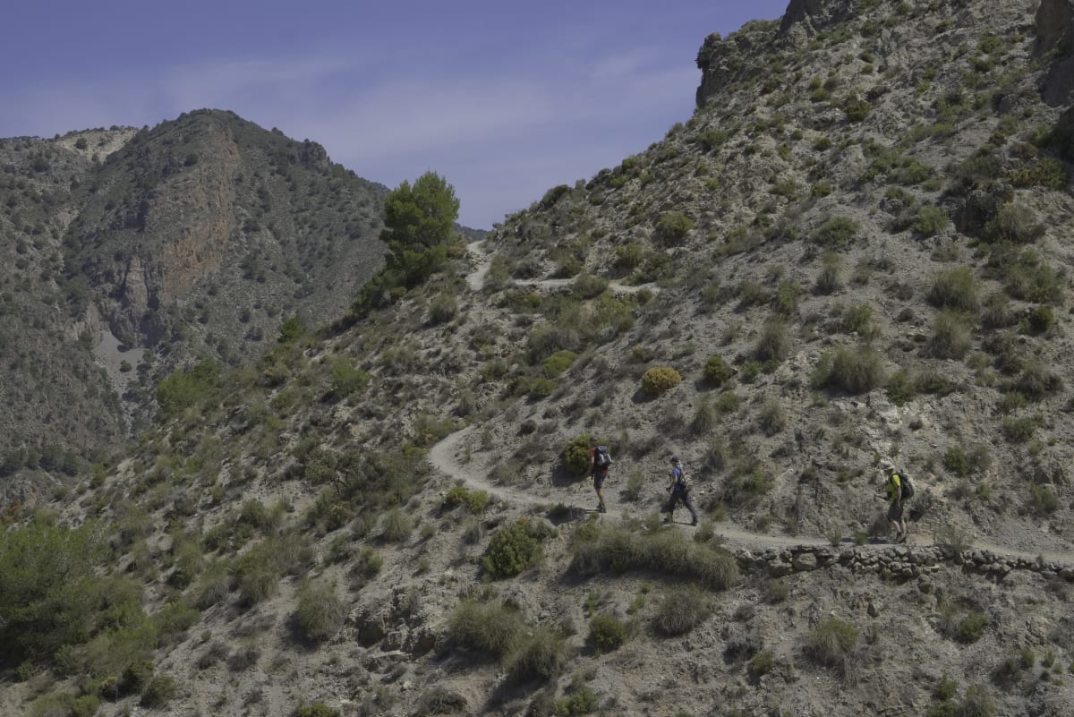 Now on the correct path