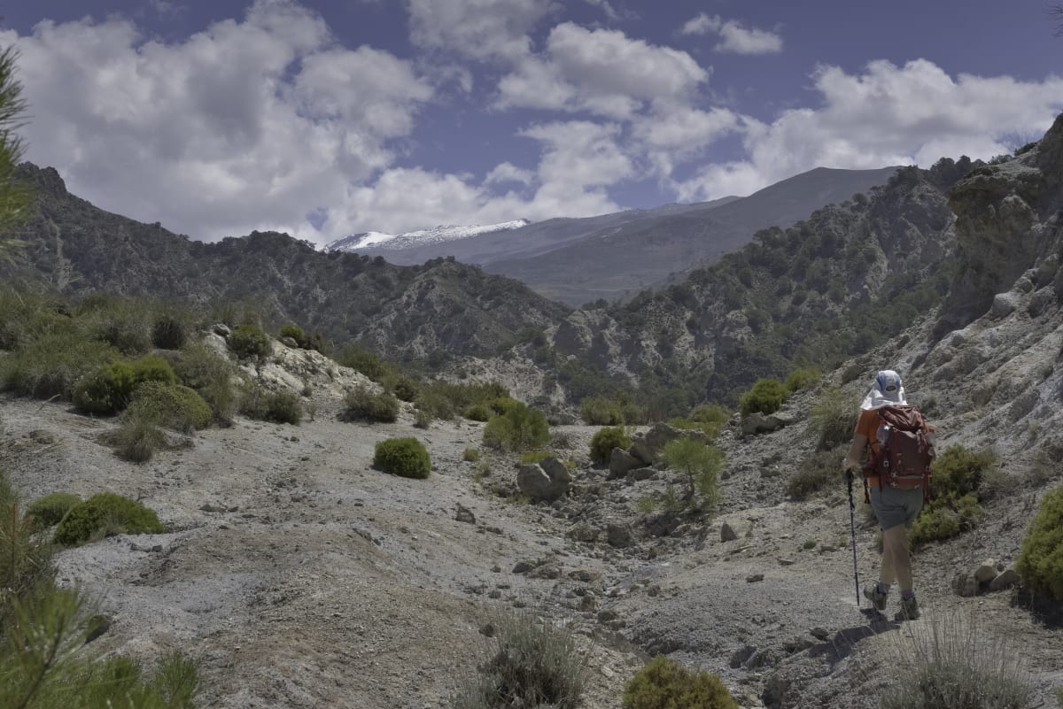 Views open out towards the snows of the Sierra Nevada