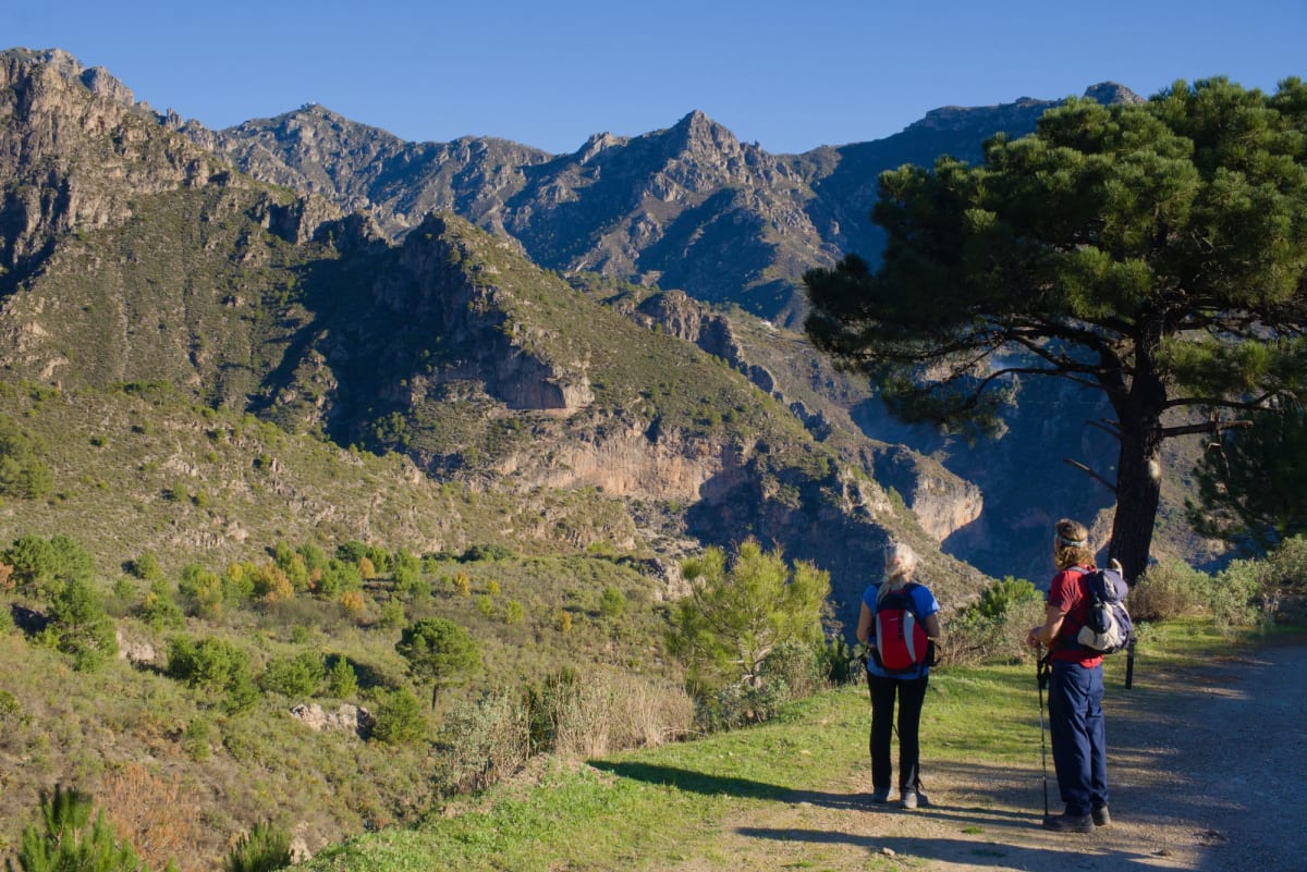 The Reluctant Pathbuilder and the Lentegi Circular