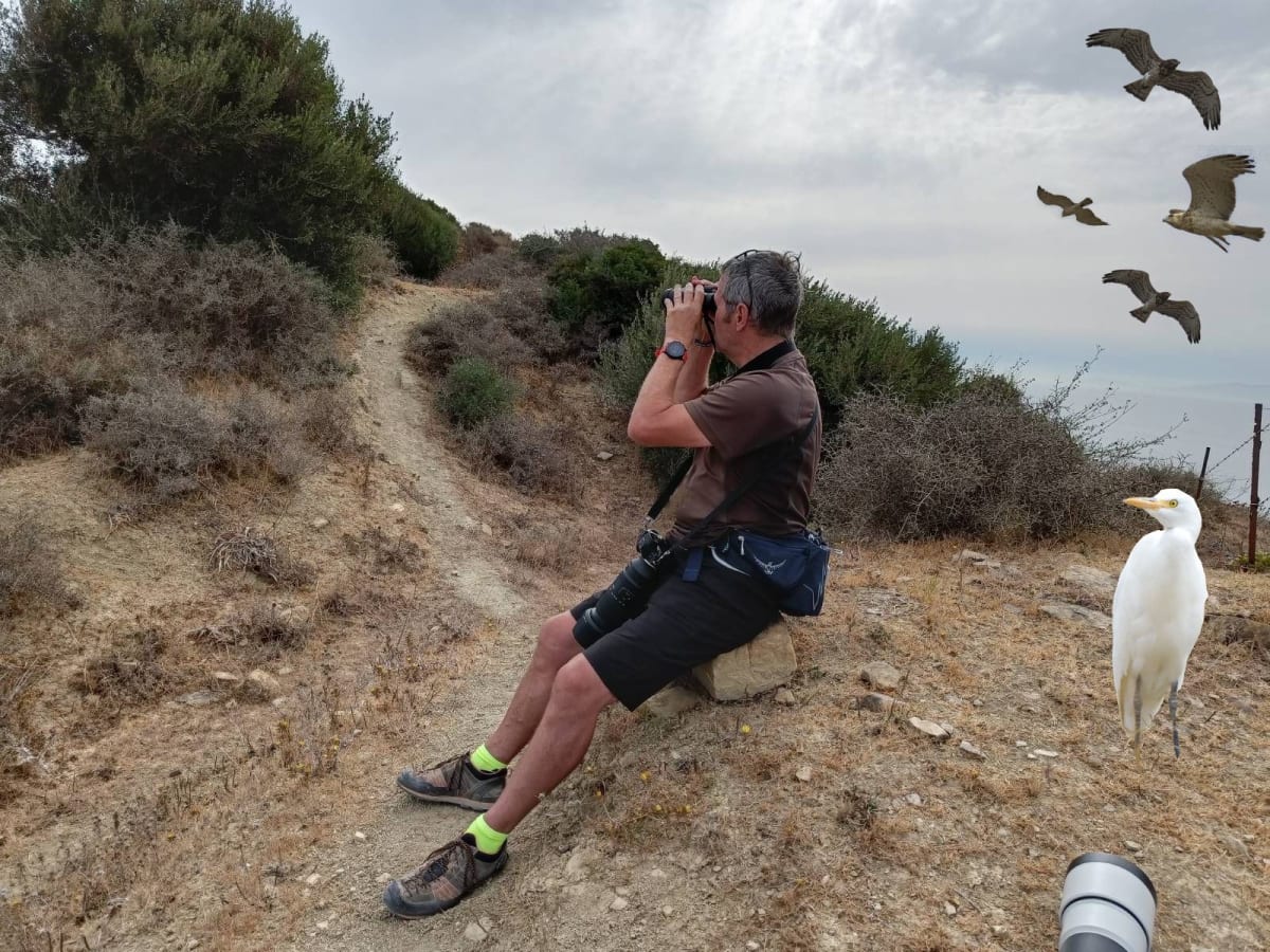 Well, I can’t see any birds Kiersten