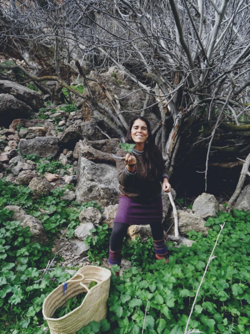 Back to Nature Retreat