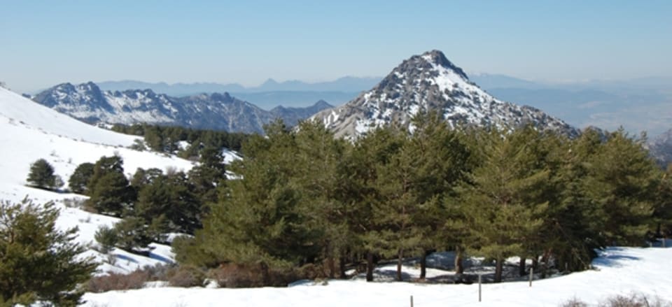 Trevenque and the Los Alayos de Dilar ridge