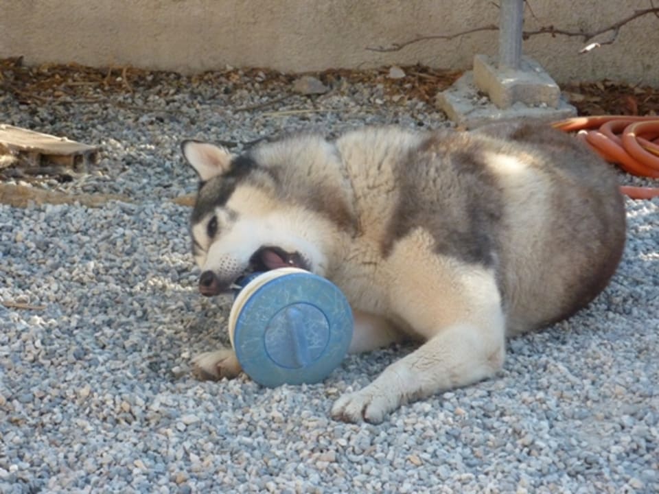 Caught in the act