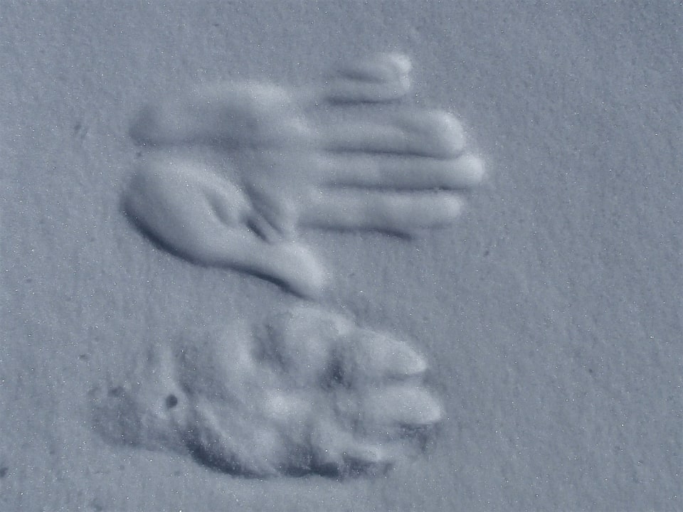 Animal print next to human hand print. Any ideas what it maybe?