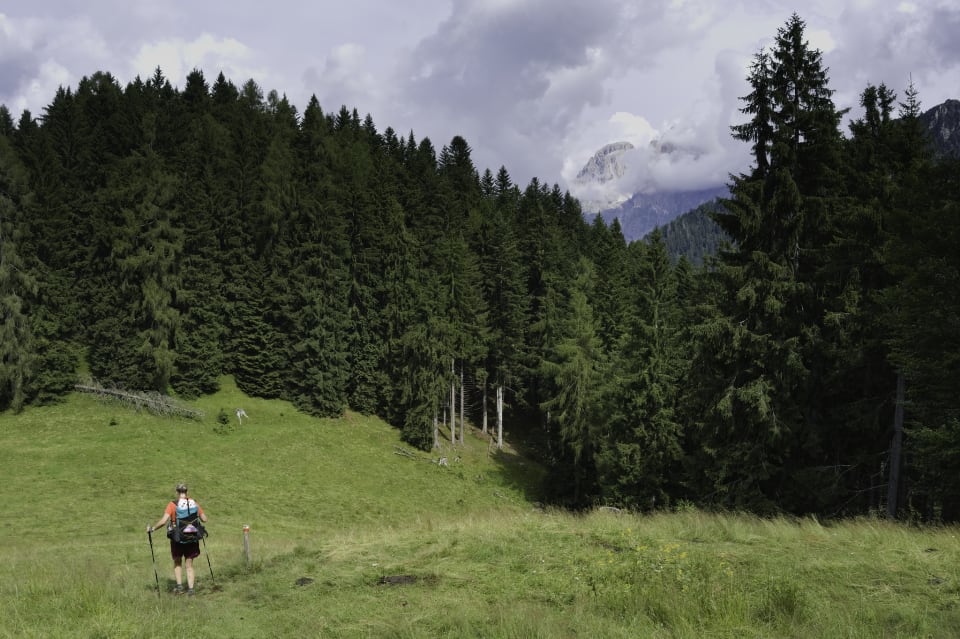 Decending green paths towards Fiera di Primiero