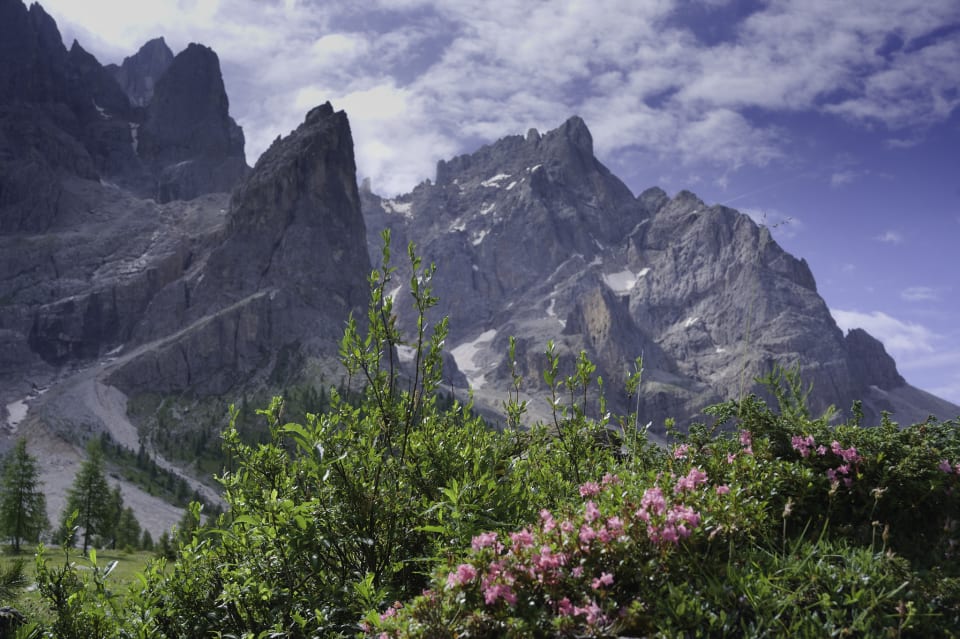 Colour contrast in the Val Venegia