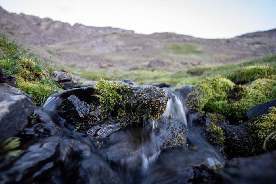 The small stream next to our campsite