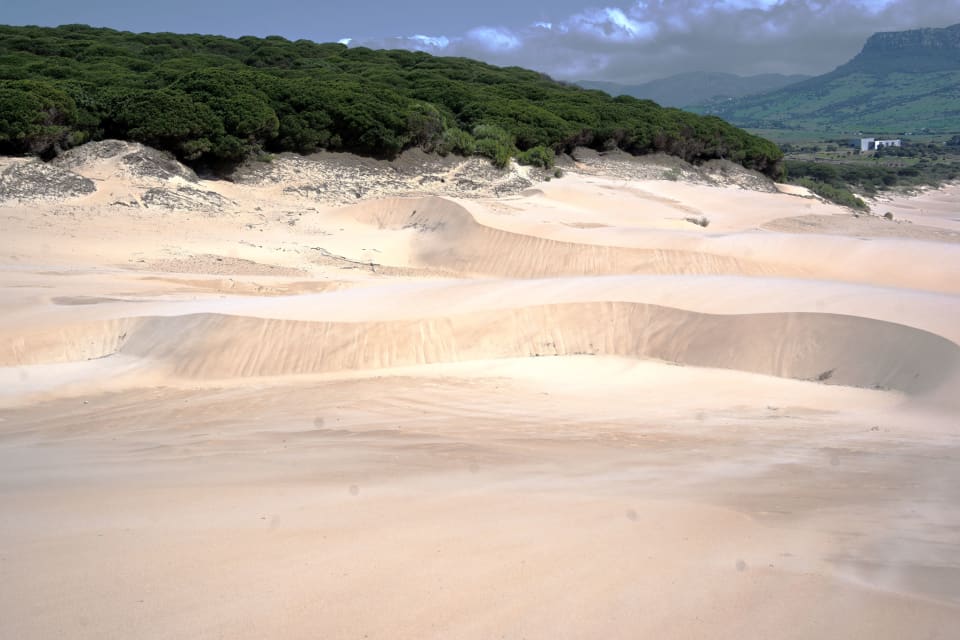 Image from Duna de Bolonia sand dune hike
