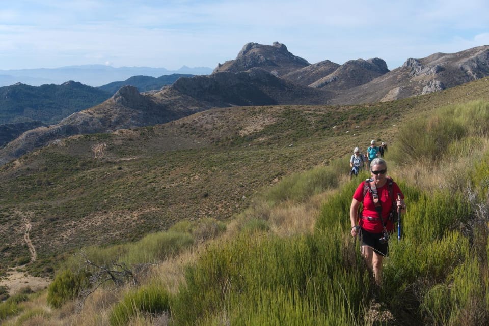 Struggling through undergrowth to the col