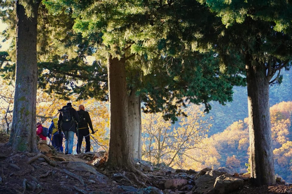 Vereda de Estrella hike