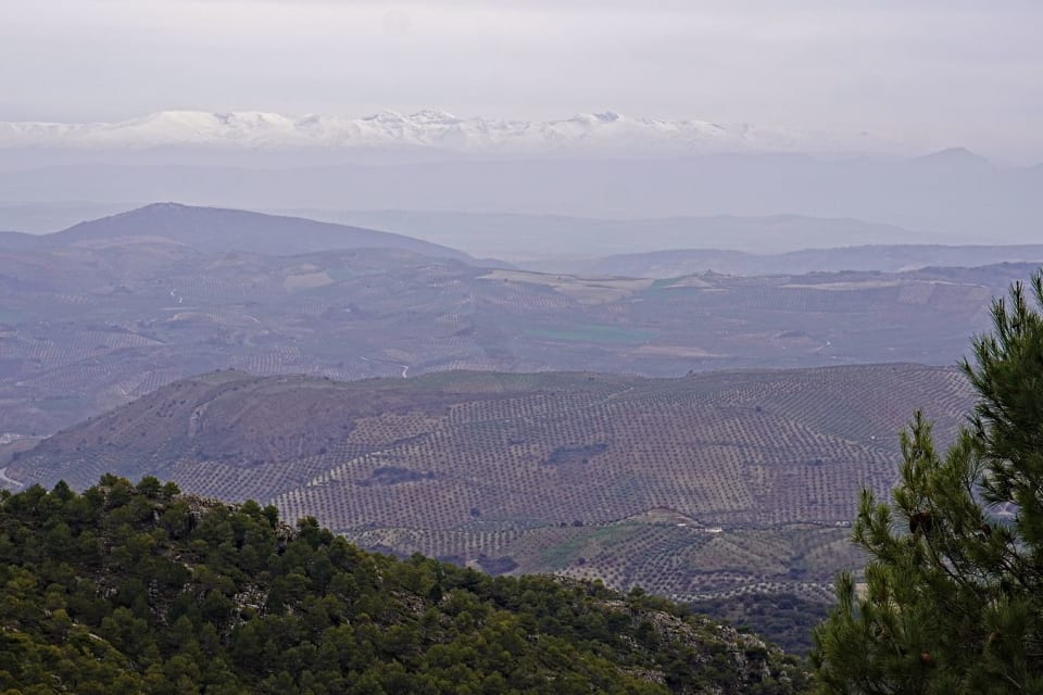 The Sierra Nevada mountains rising out of the haze almost 90 kilometres away to the south