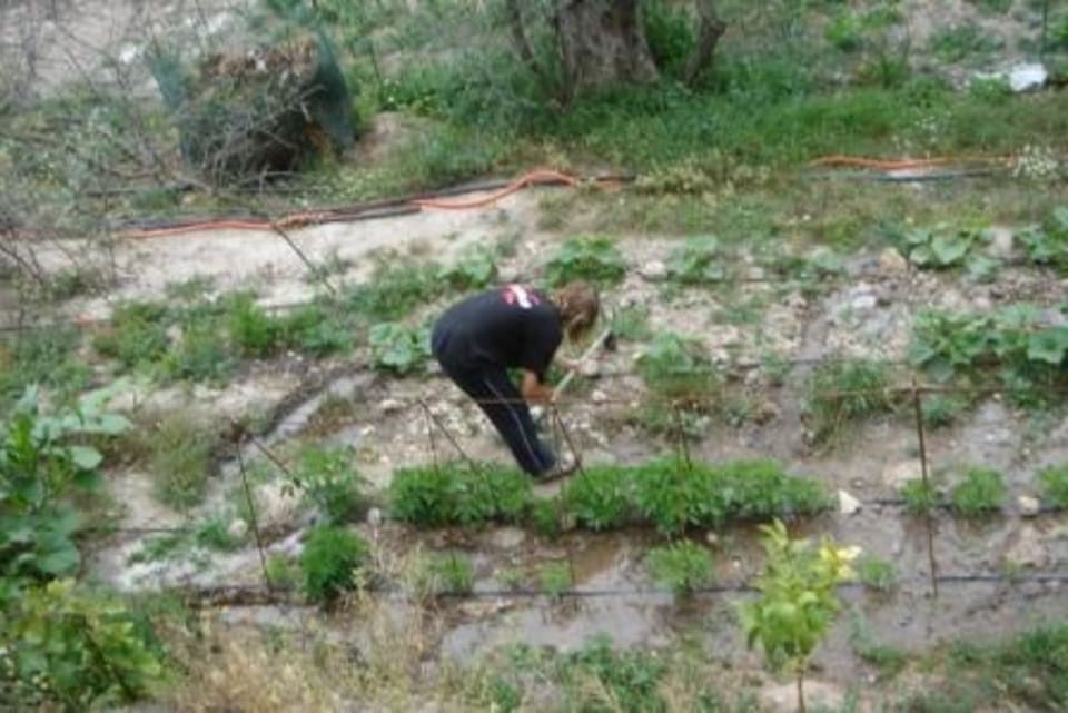 The Road to Self Sufficency, Alpujarras