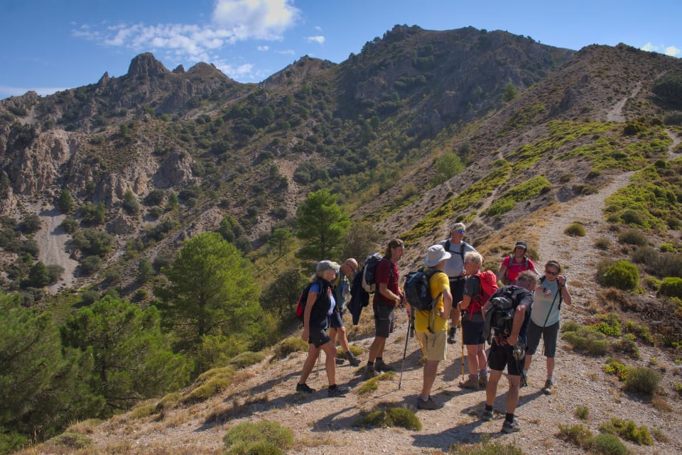 At the col between Picacho Alto and Corazon de la Sandia