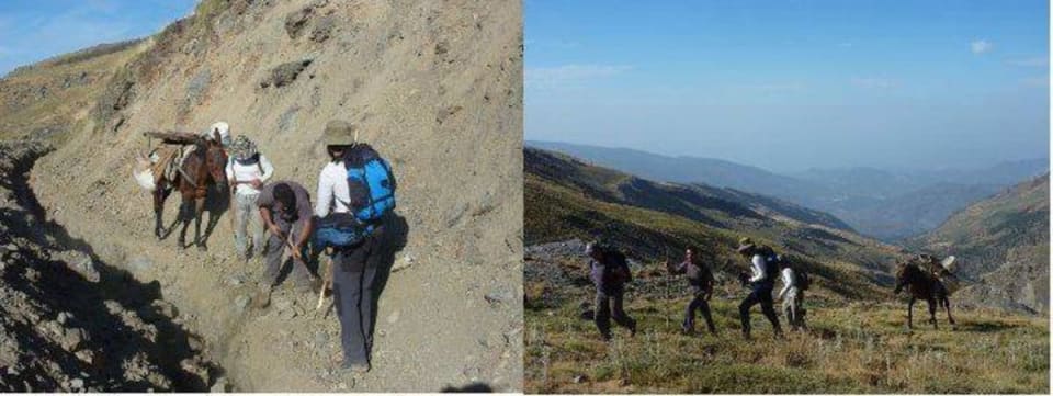 Un mulo, dos arrieros, dos perros y tres montañeros