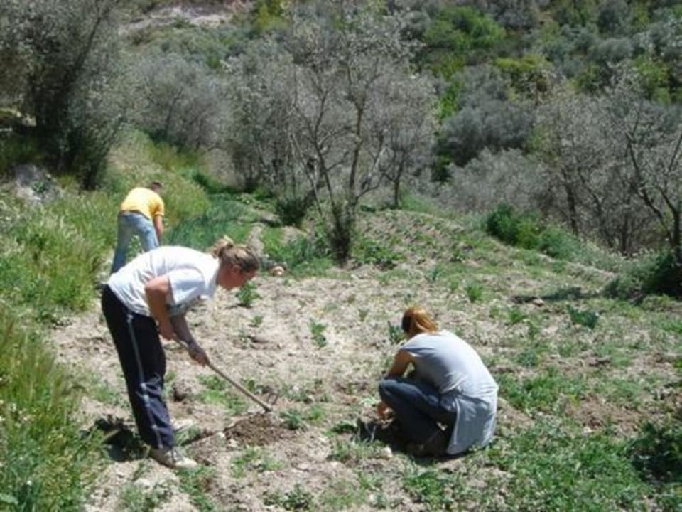 The Road to Self Sufficency, Alpujarras