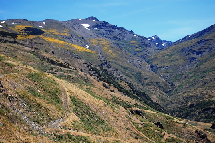 Cerro de Caballo Valleys in full bloom