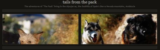 The dogs get their own website!