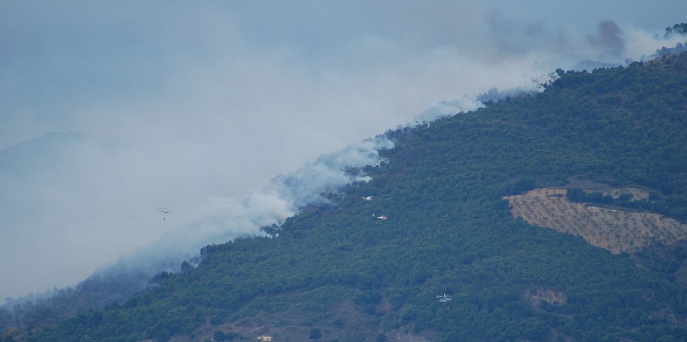 A wildfire at the end of the season