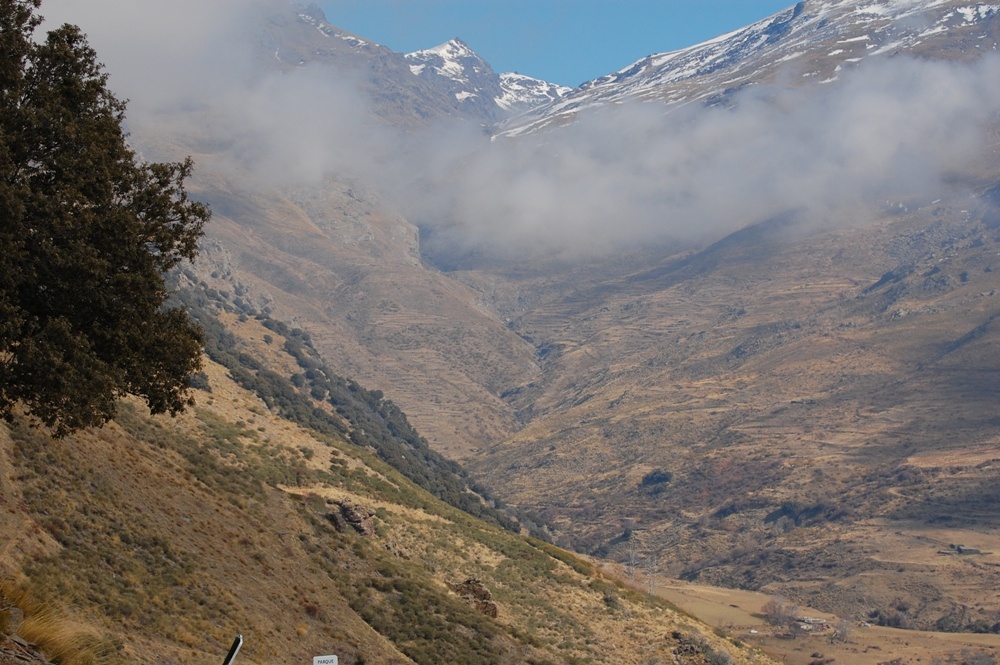 An incredible encounter with Golden Eagles