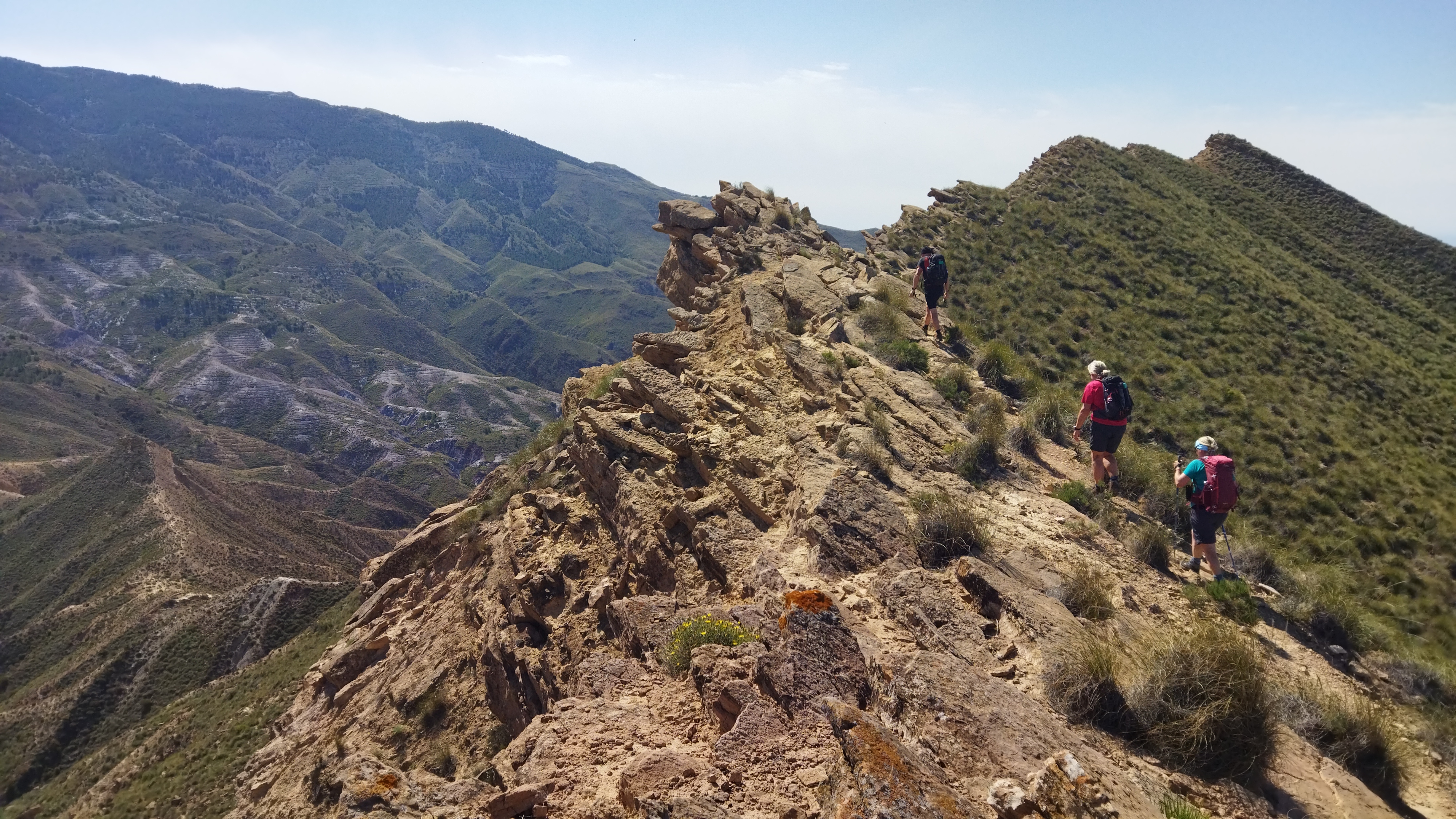 Cerro Alfaro, Tabernas