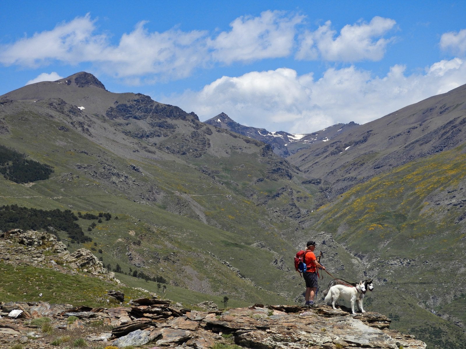 Above the Lanjaron Valley