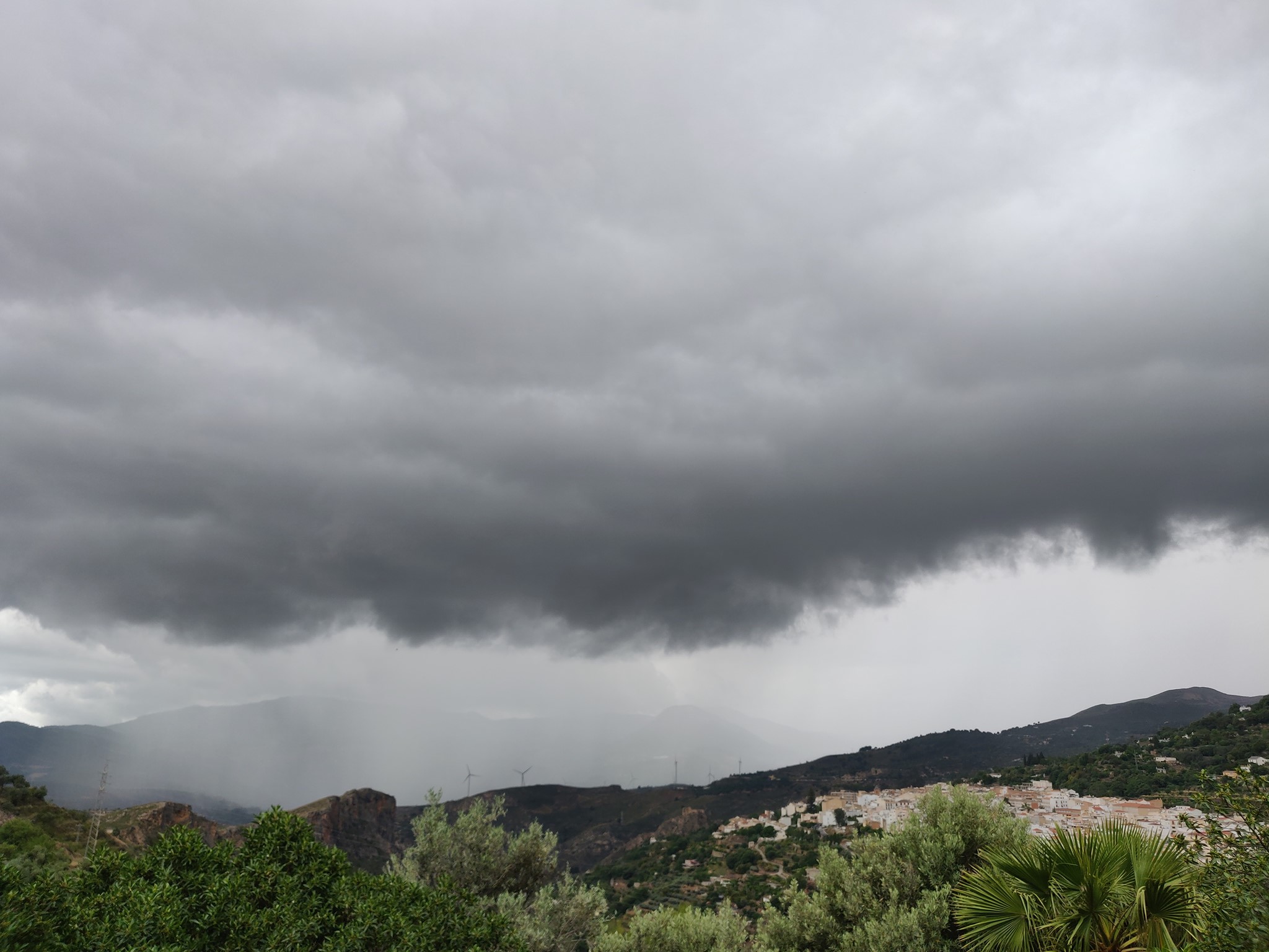 To rain or not to rain?