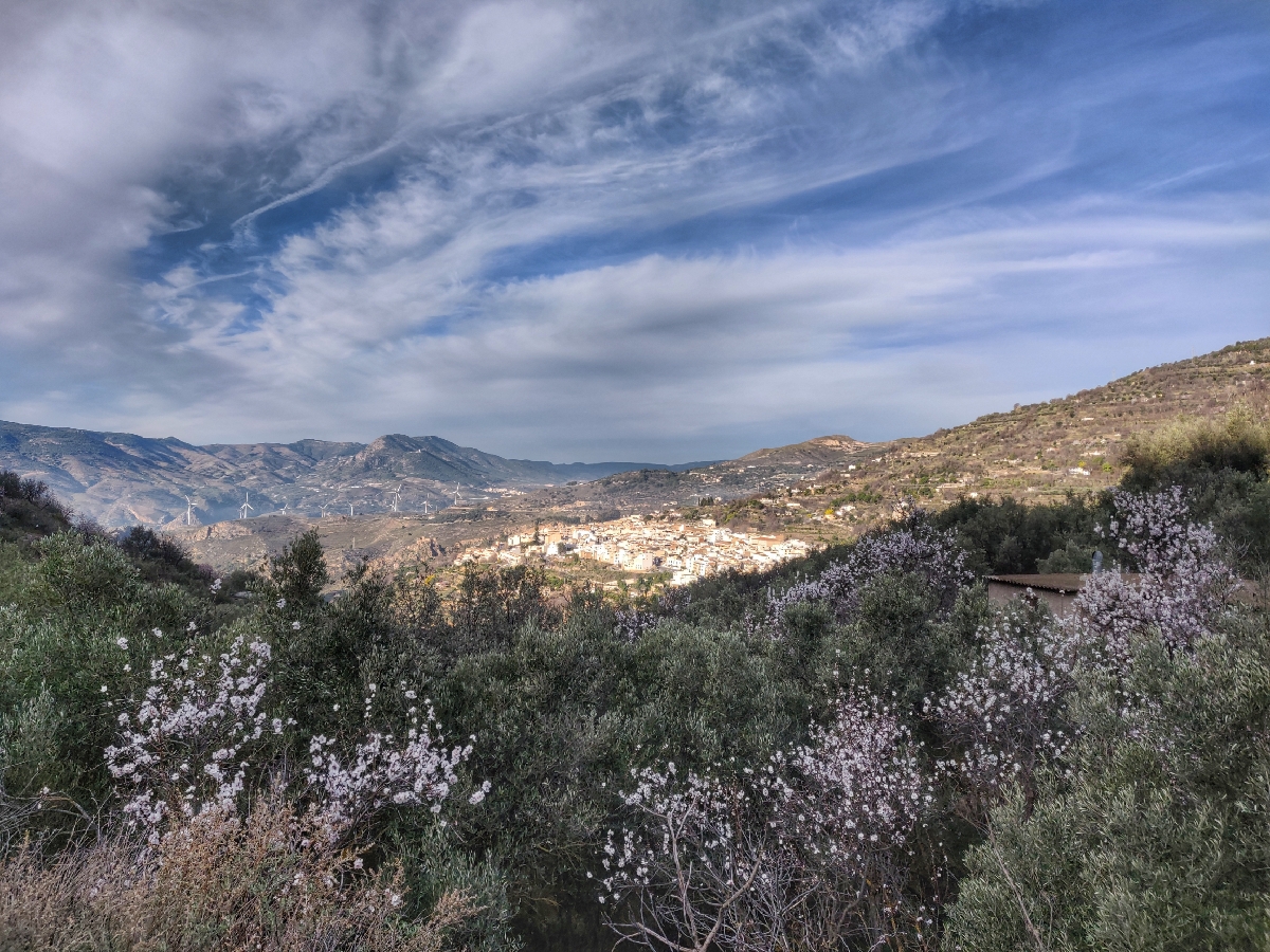 Good Morning from Lanjaron