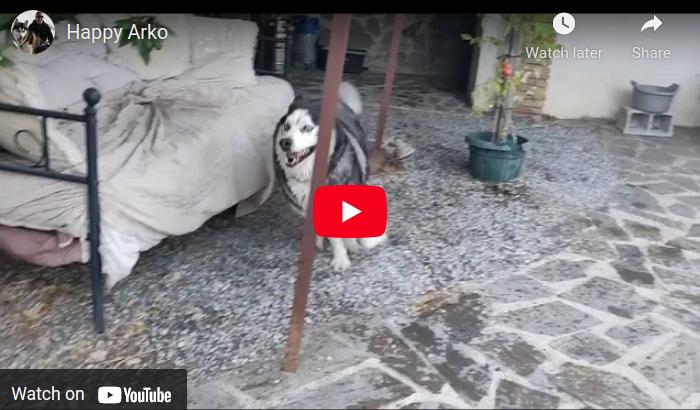 Happy Arko