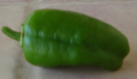 Pimientos del padron