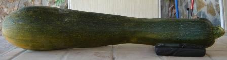 Marrow ready for marrow rum