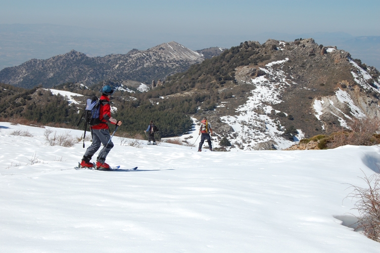 Determined to ski as far as possible towards the forest